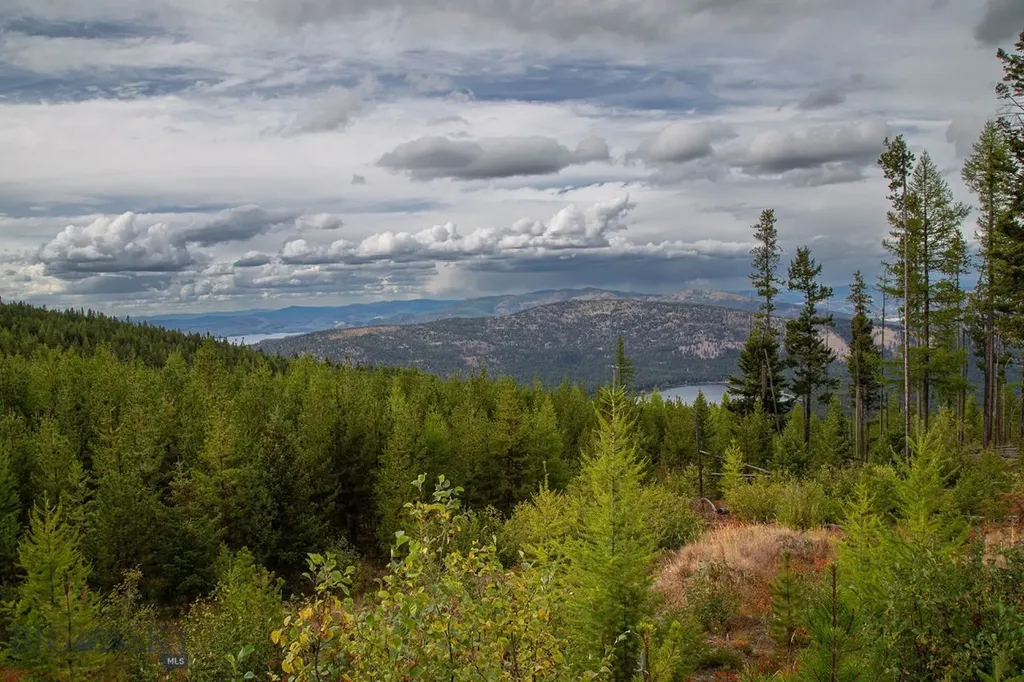 Nhn Haskill Mountain Ranch Road Kila MT 59920