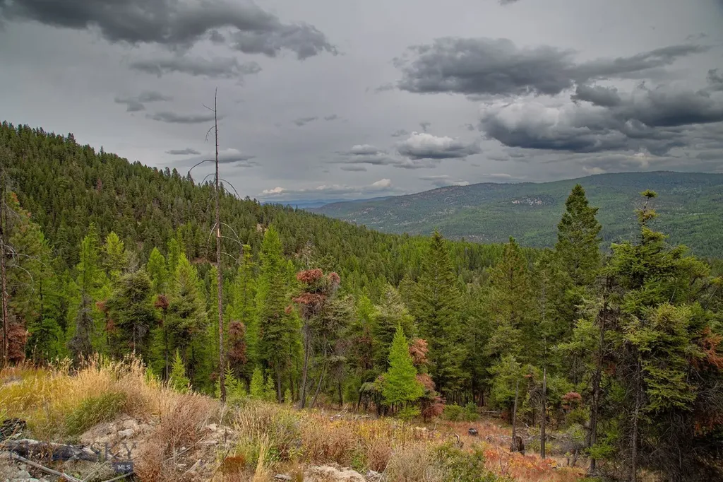 Nhn Haskill Mountain Ranch Road Kila MT 59920