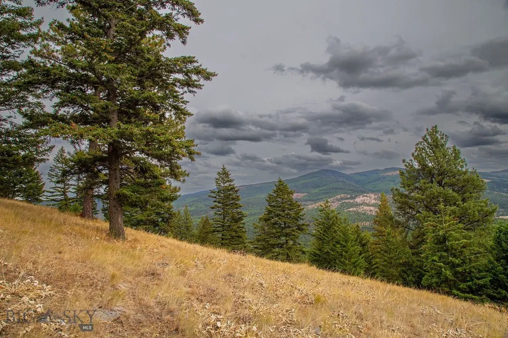 Nhn Haskill Mountain Ranch Road Kila MT 59920