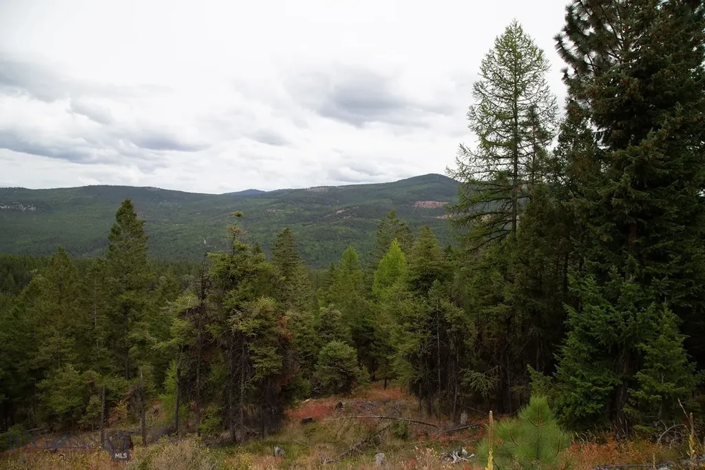 Nhn Haskill Mountain Ranch Road Kila MT 59920