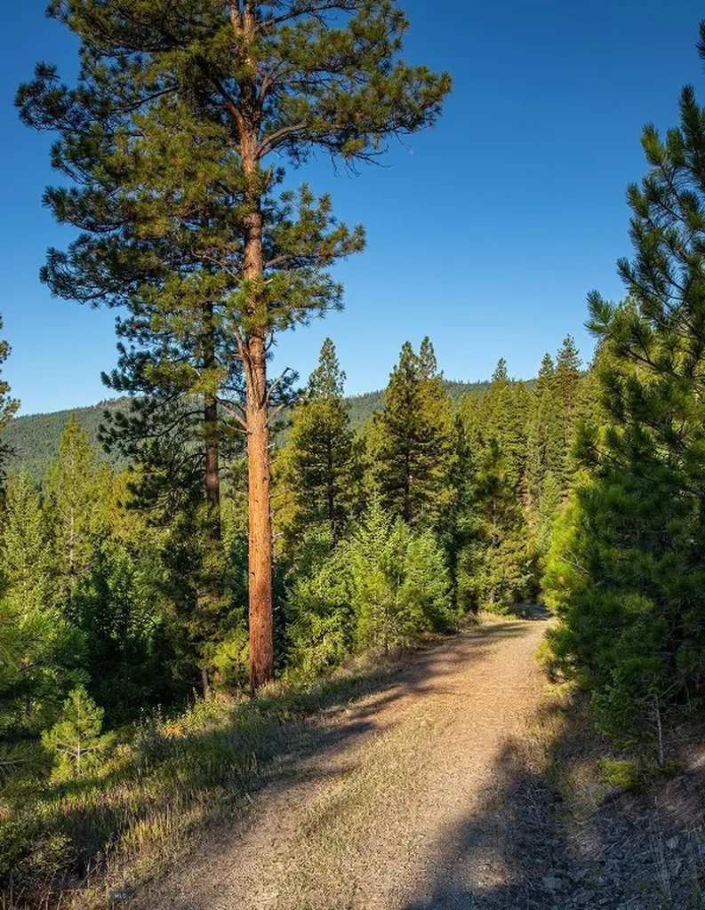 Nhn Haskill Mountain Ranch Road Kila MT 59920
