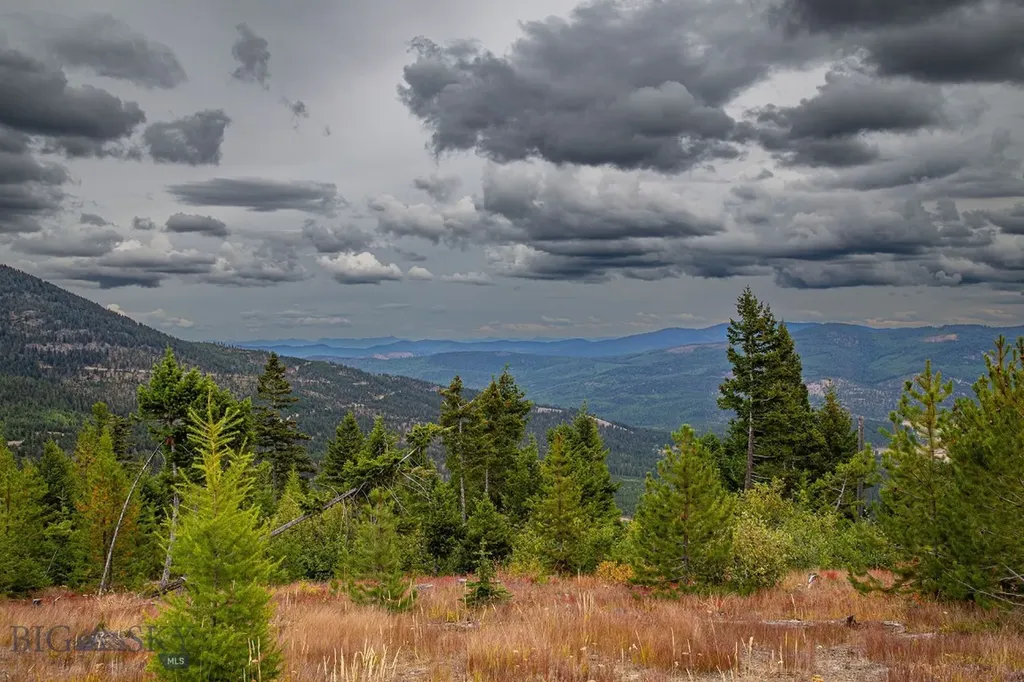 Nhn Haskill Mountain Ranch Road Kila MT 59920