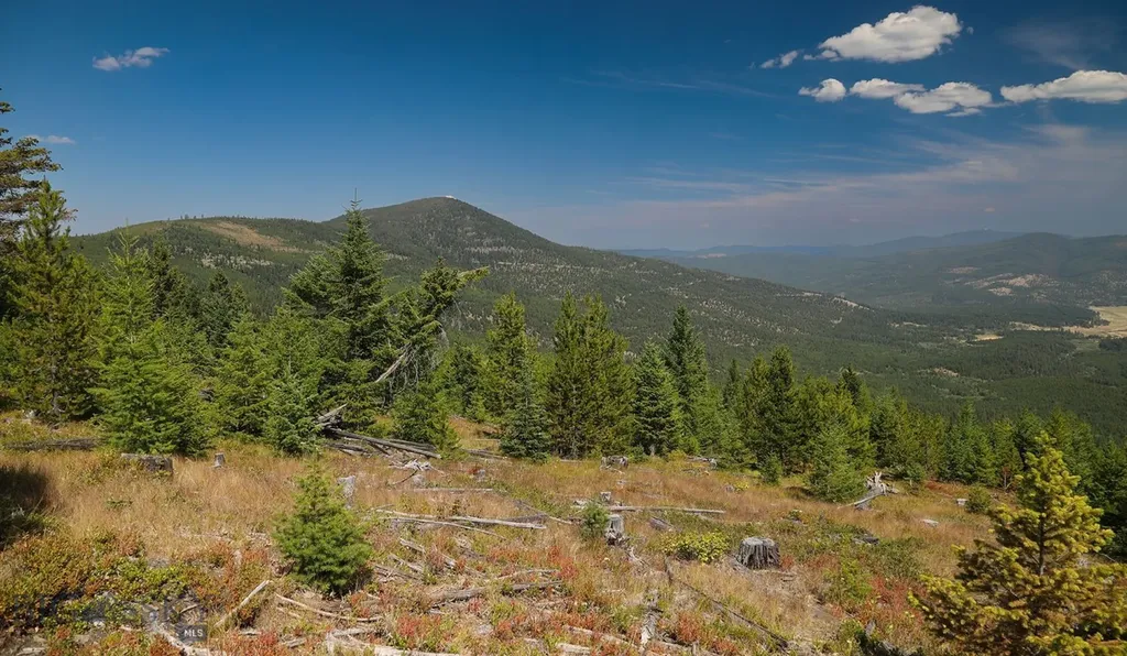 Nhn Haskill Mountain Ranch Road Kila MT 59920