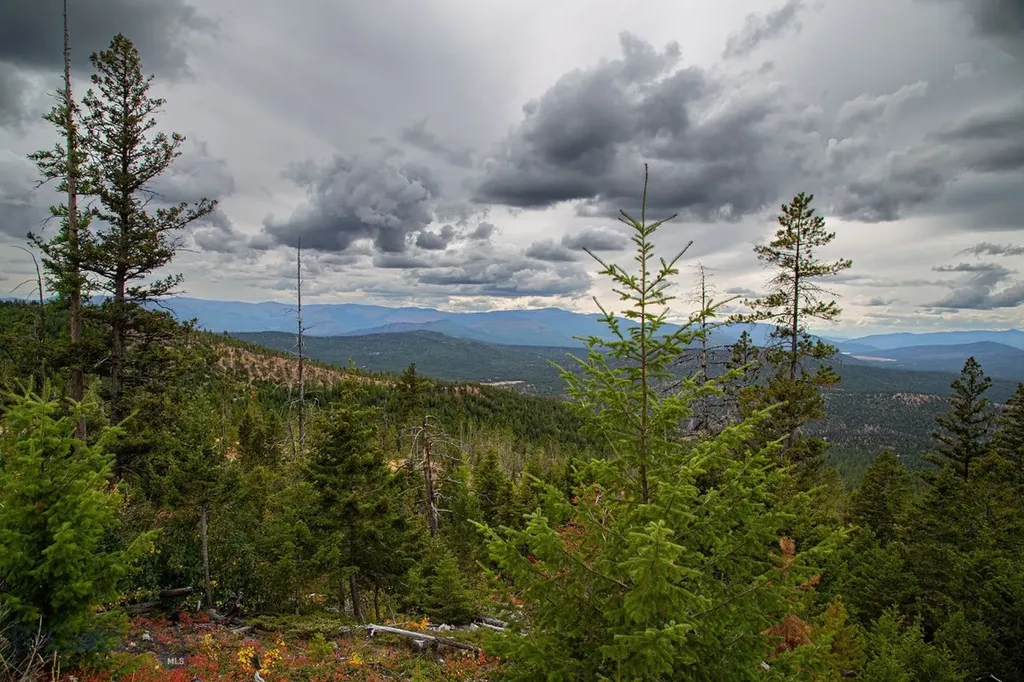 Nhn Haskill Mountain Ranch Road Kila MT 59920