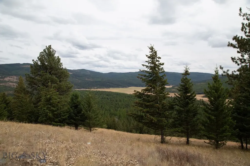 Nhn Haskill Mountain Ranch Road Kila MT 59920