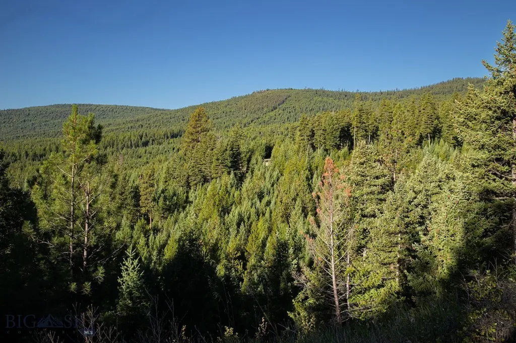 Nhn Haskill Mountain Ranch Road Kila MT 59920