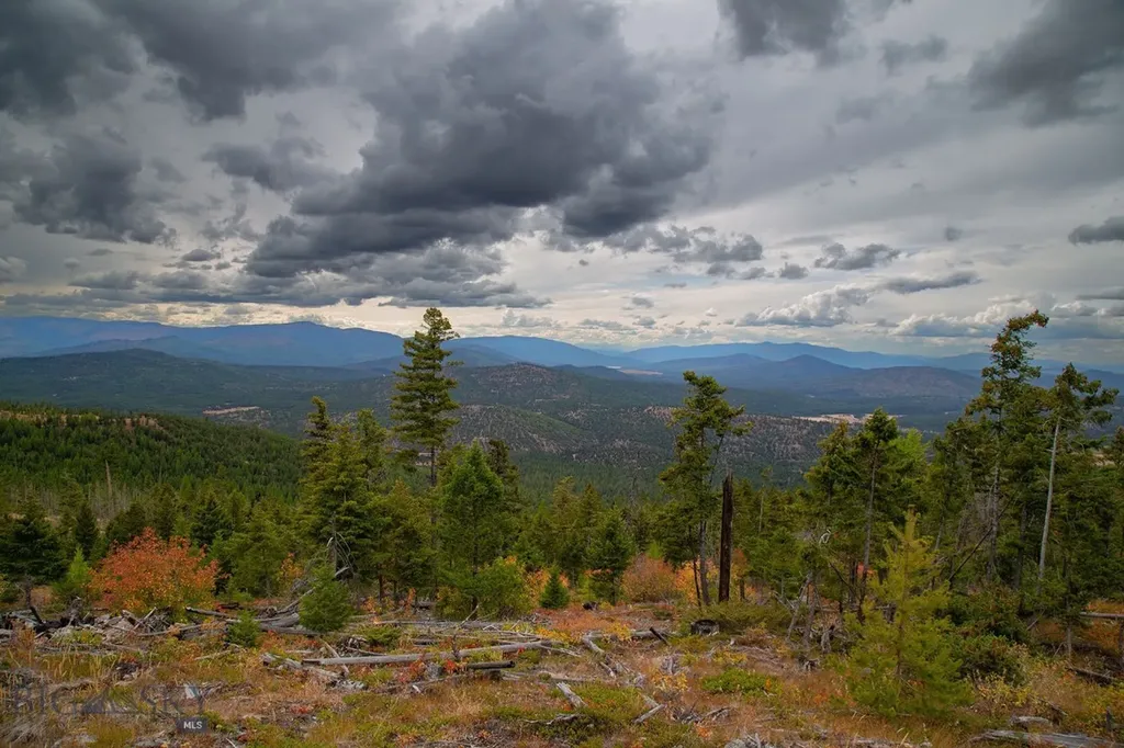 Nhn Haskill Mountain Ranch Road Kila MT 59920
