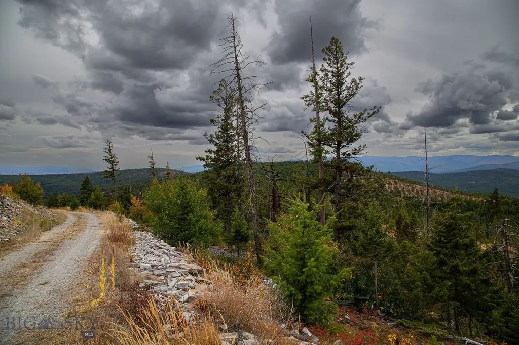 Nhn Haskill Mountain Ranch Road Kila MT 59920
