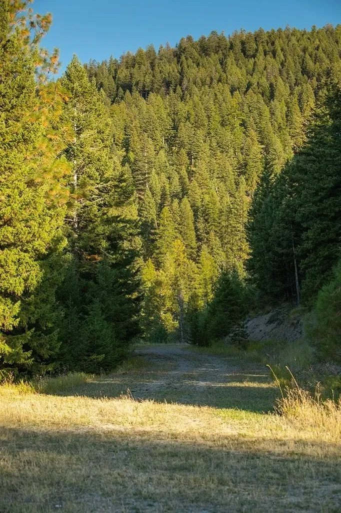 Nhn Haskill Mountain Ranch Road Kila MT 59920