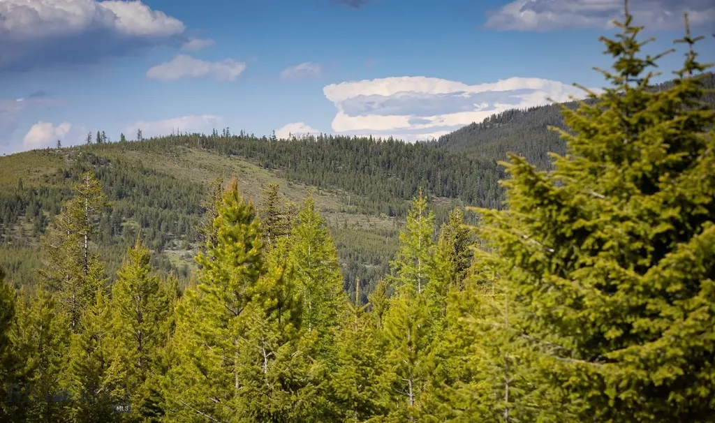 Nhn Haskill Mountain Ranch Road Kila MT 59920