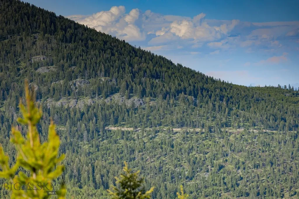 Nhn Haskill Mountain Ranch Road Kila MT 59920