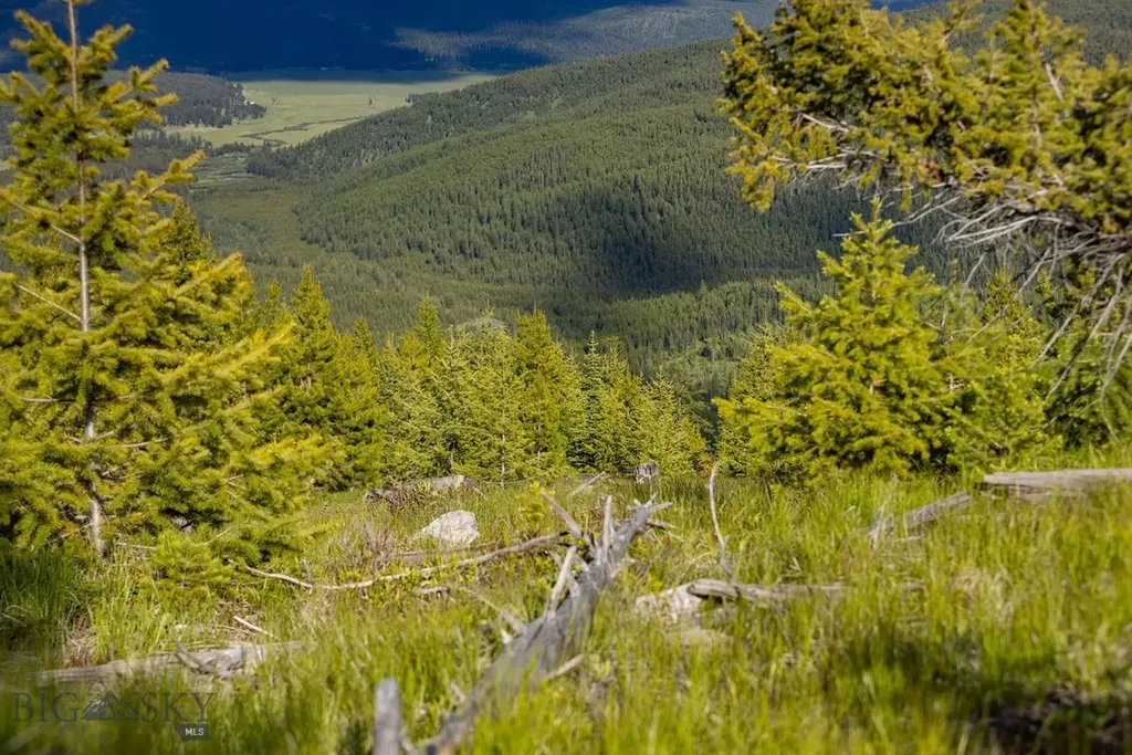 Nhn Haskill Mountain Ranch Road Kila MT 59920