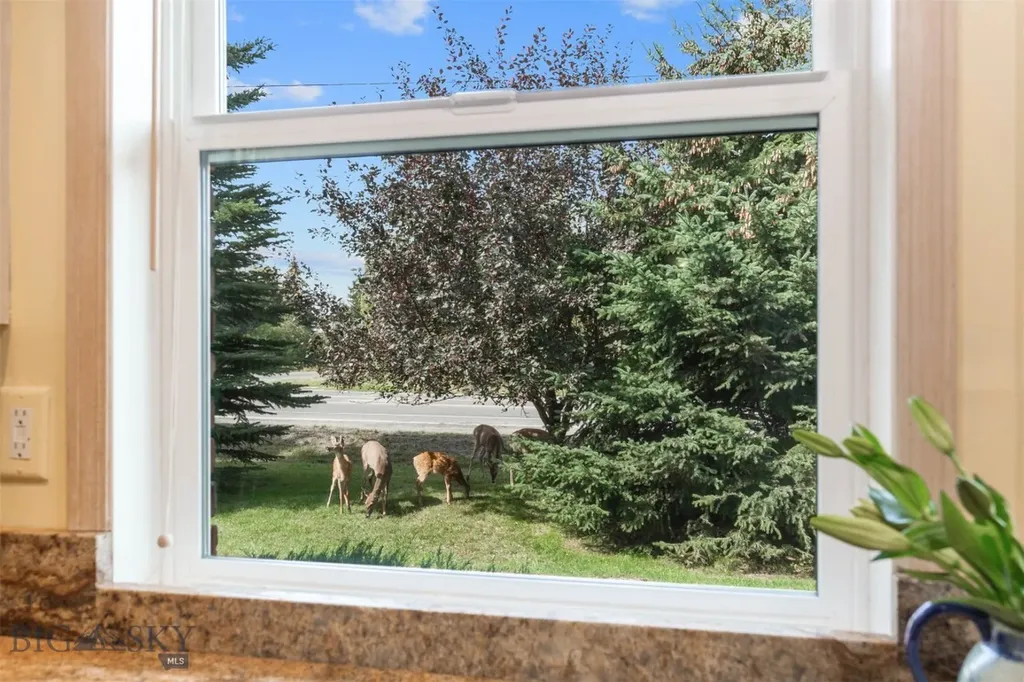 210 W Graf Street Bozeman MT 59715