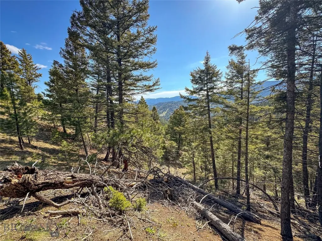 Tbd (36.4+/- Acres) Elkhorn Mountain View Road Jefferson City MT 59638