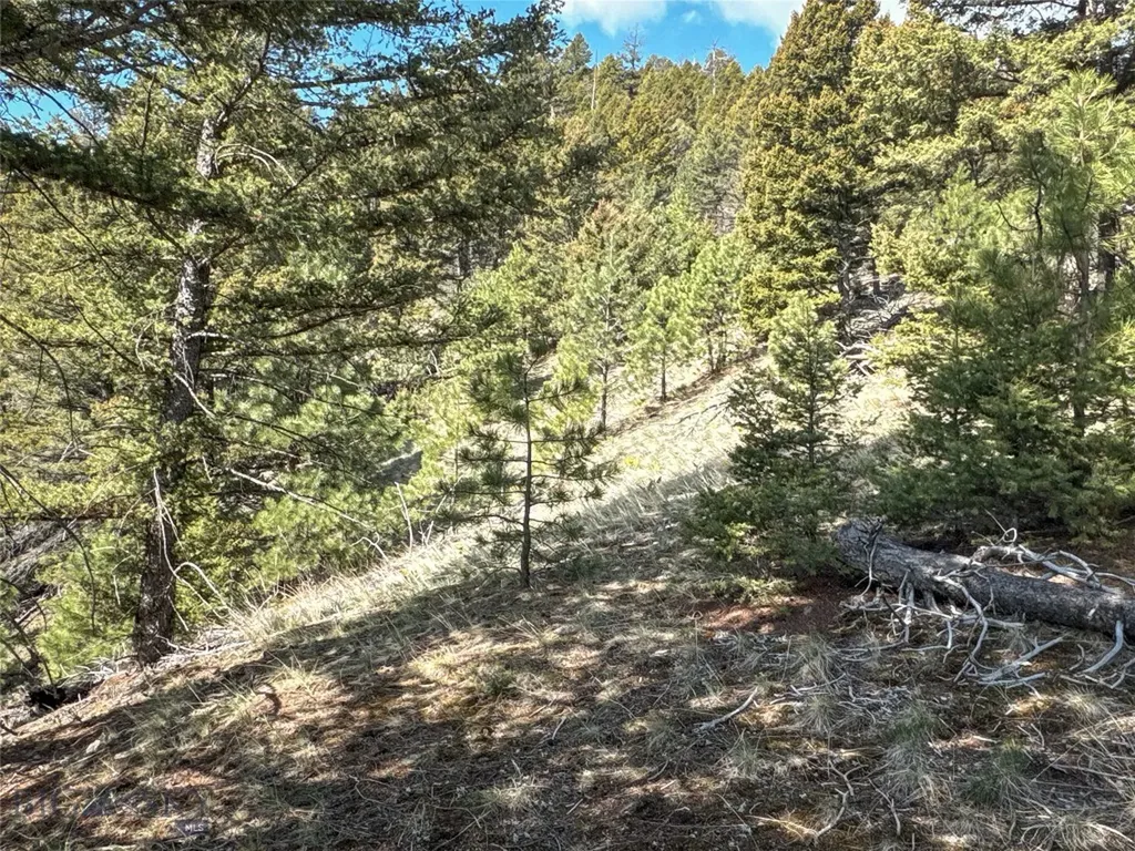 Tbd (36.4+/- Acres) Elkhorn Mountain View Road Jefferson City MT 59638