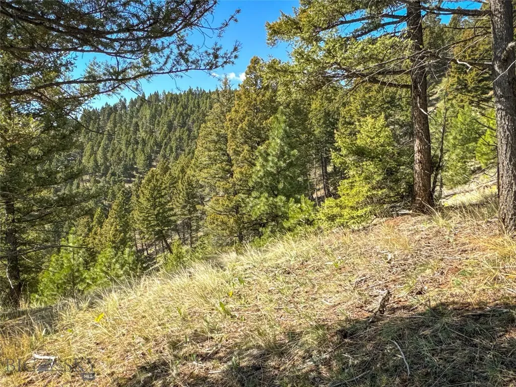 Tbd (36.4+/- Acres) Elkhorn Mountain View Road Jefferson City MT 59638