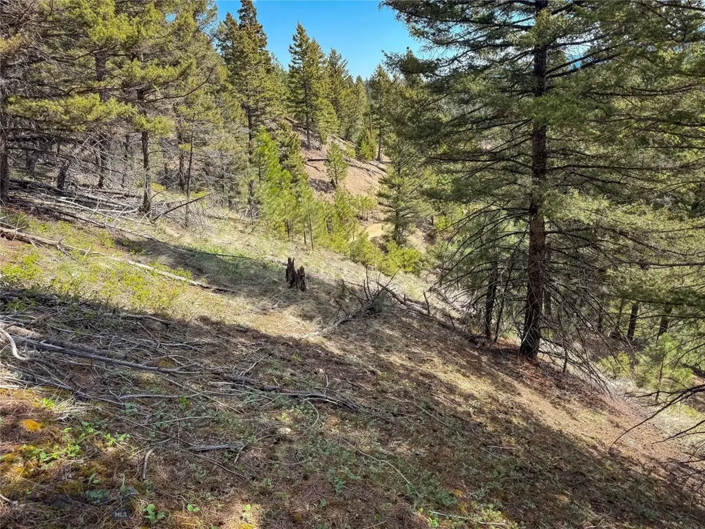 Tbd (36.4+/- Acres) Elkhorn Mountain View Road Jefferson City MT 59638