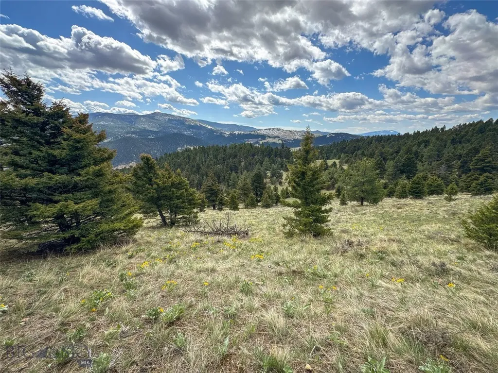 Tbd (36.4+/- Acres) Elkhorn Mountain View Road Jefferson City MT 59638