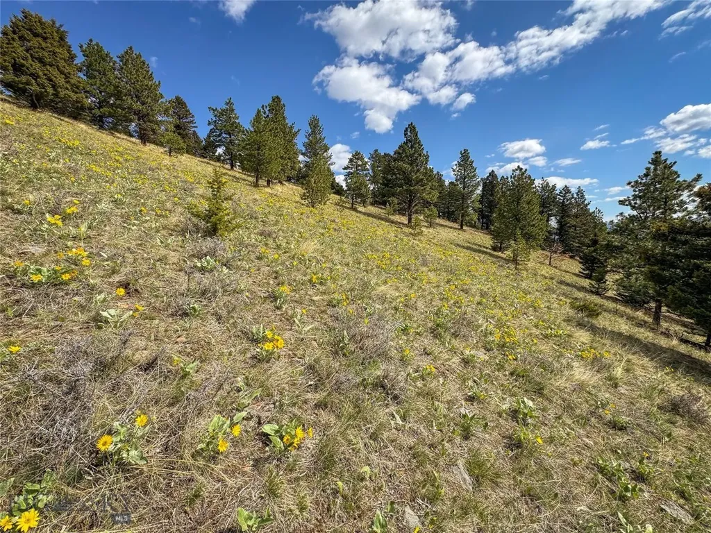 Tbd (36.4+/- Acres) Elkhorn Mountain View Road Jefferson City MT 59638