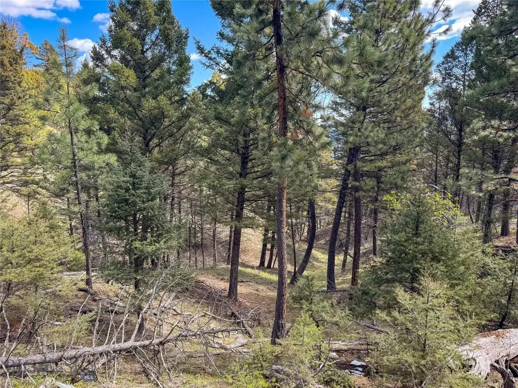 Tbd (36.4+/- Acres) Elkhorn Mountain View Road Jefferson City MT 59638