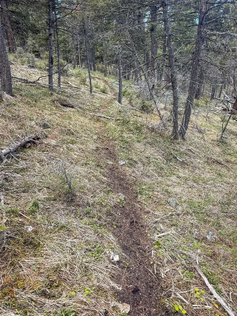 Tbd (36.4+/- Acres) Elkhorn Mountain View Road Jefferson City MT 59638