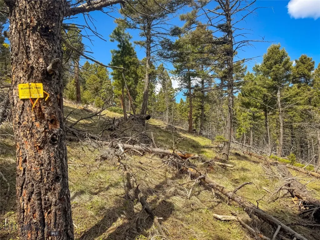 Tbd (36.4+/- Acres) Elkhorn Mountain View Road Jefferson City MT 59638