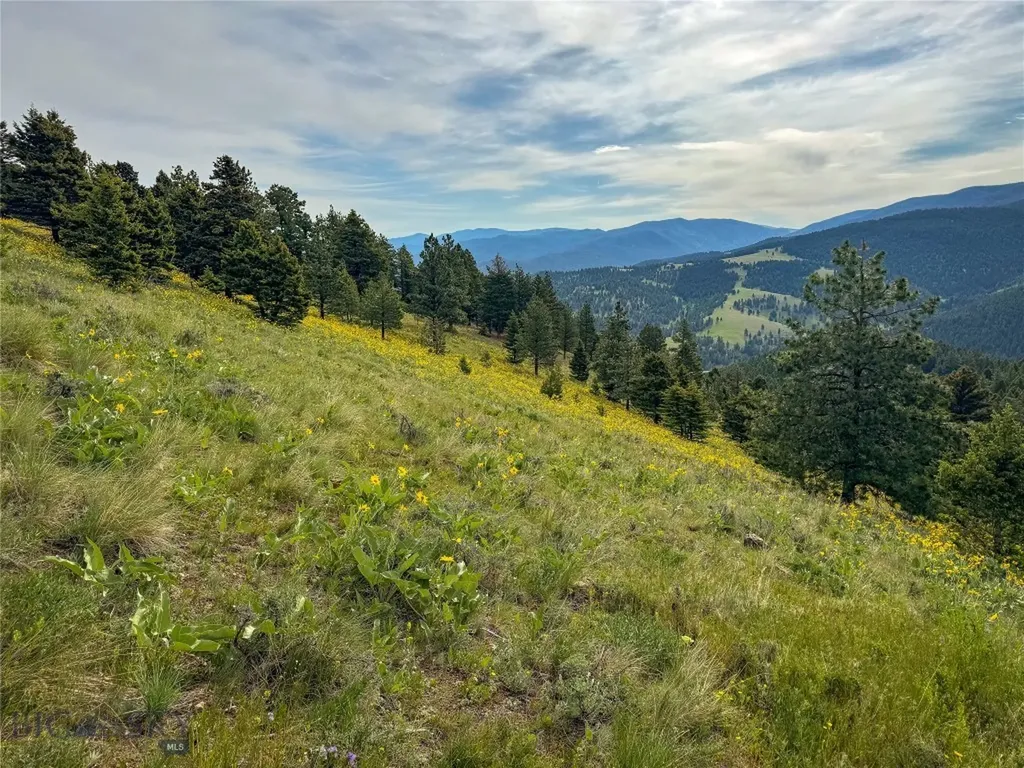 Tbd (36.4+/- Acres) Elkhorn Mountain View Road Jefferson City MT 59638