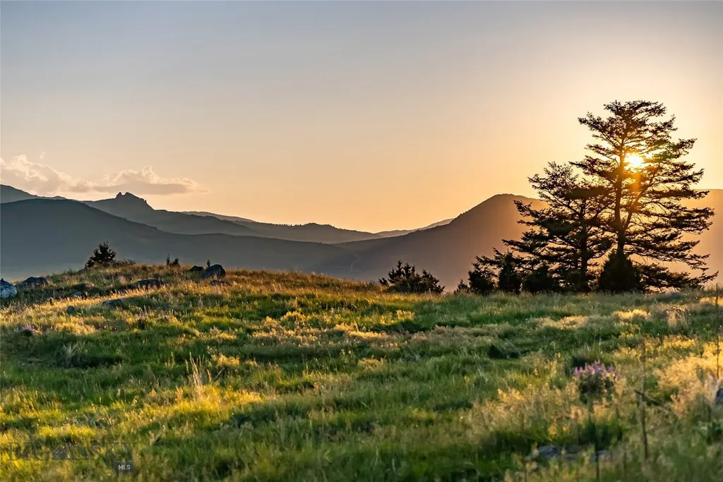 Tbd Pine Creek (luccock Park Road) Livingston MT 59047