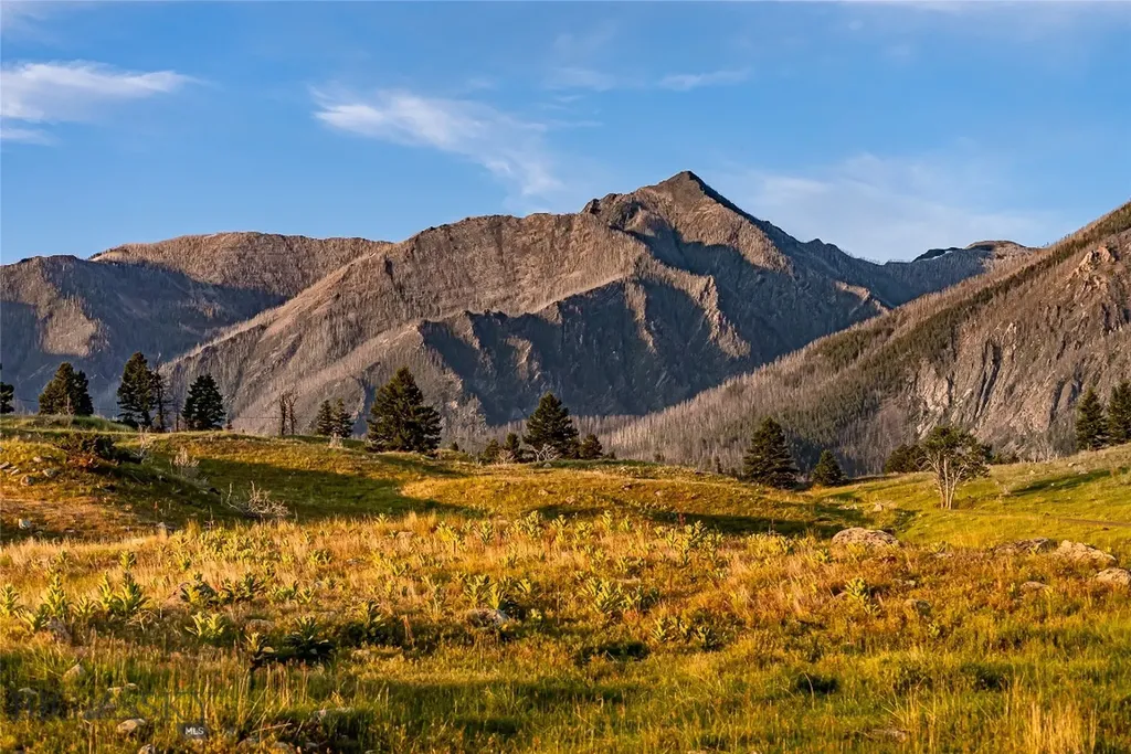 Tbd Pine Creek (luccock Park Road) Livingston MT 59047