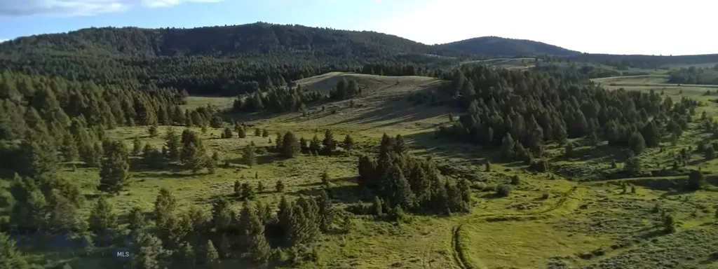 Tbd South Valley Road Dell MT 59724