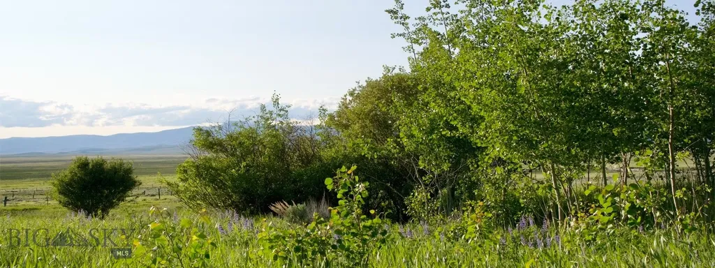 Tbd South Valley Road Dell MT 59724
