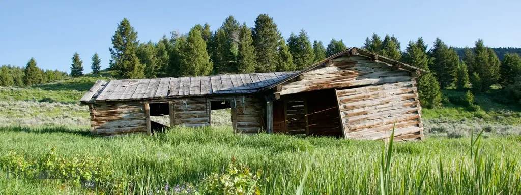 Tbd South Valley Road Dell MT 59724