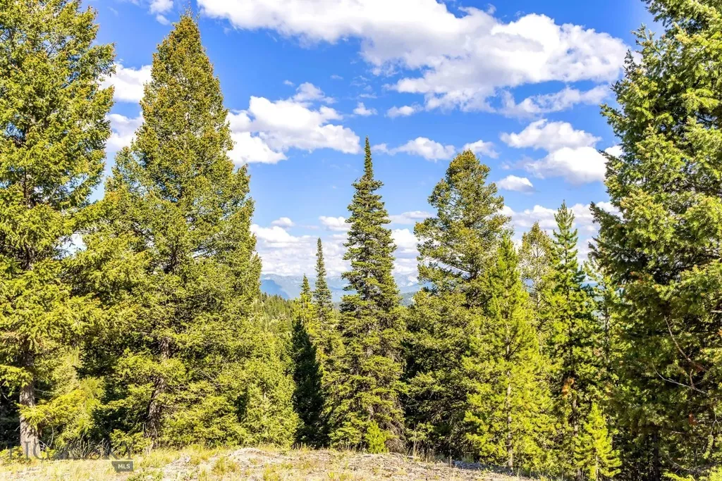 Lot 2 Wheatgrass Meadows Big Sky MT 59716