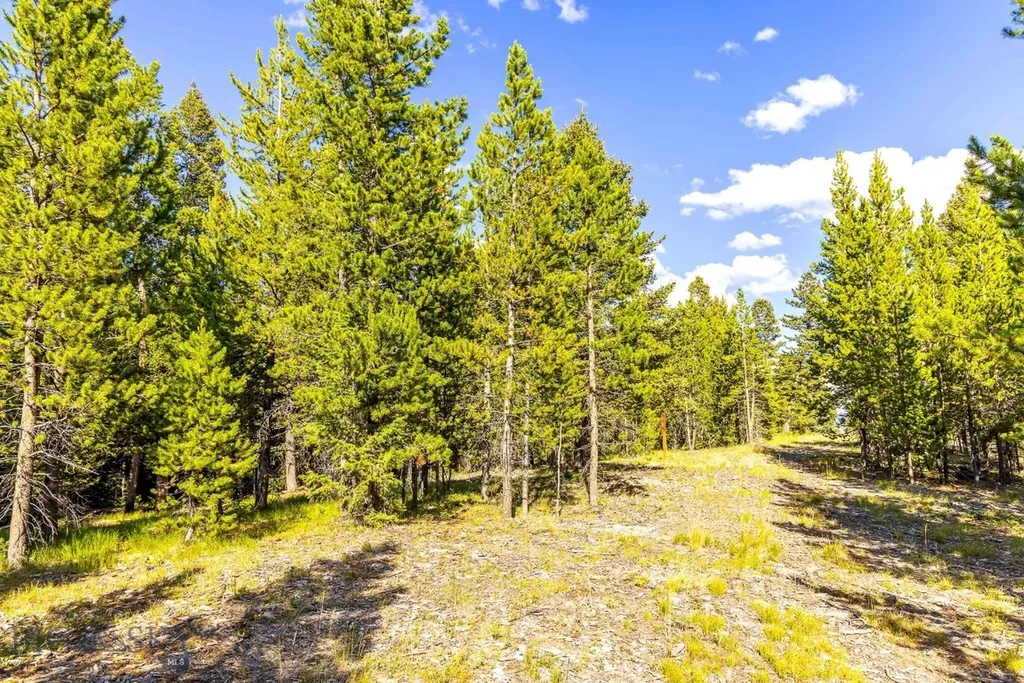 Lot 2 Wheatgrass Meadows Big Sky MT 59716