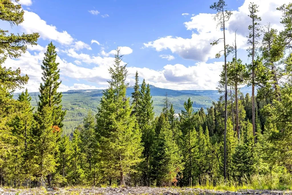 Lot 2 Wheatgrass Meadows Big Sky MT 59716