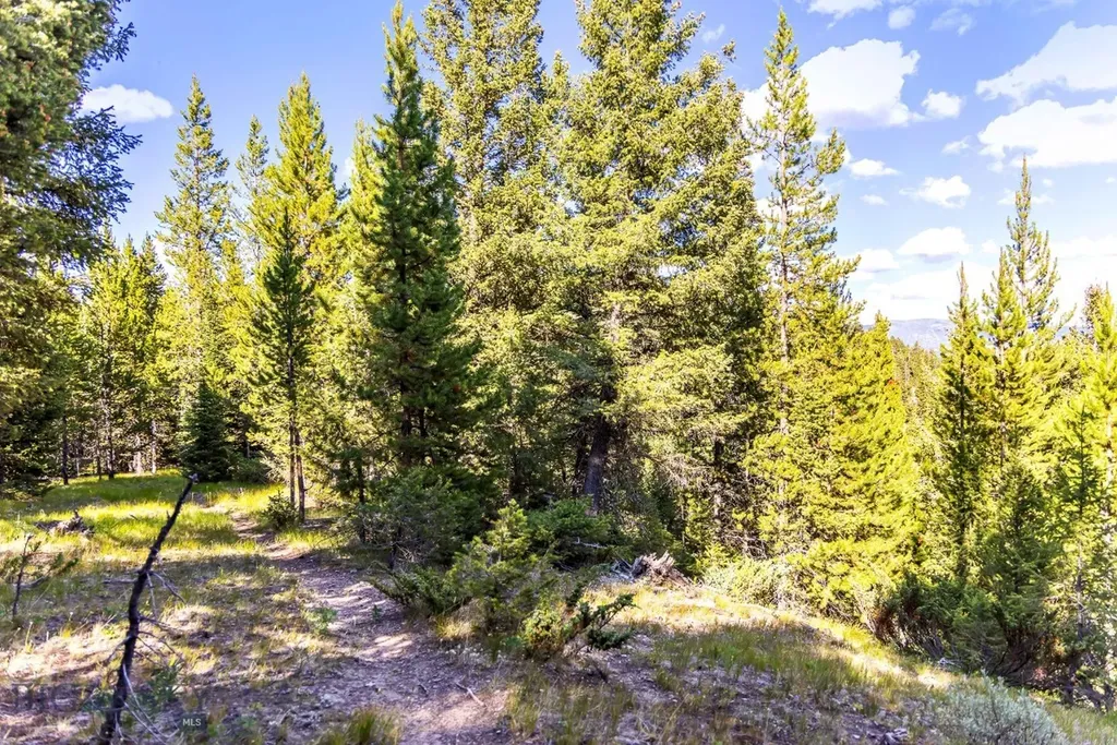Lot 2 Wheatgrass Meadows Big Sky MT 59716