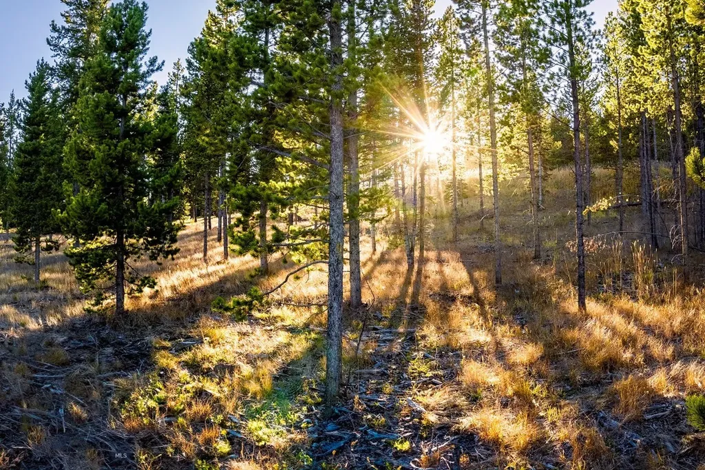 Lot 2 Wheatgrass Meadows Big Sky MT 59716
