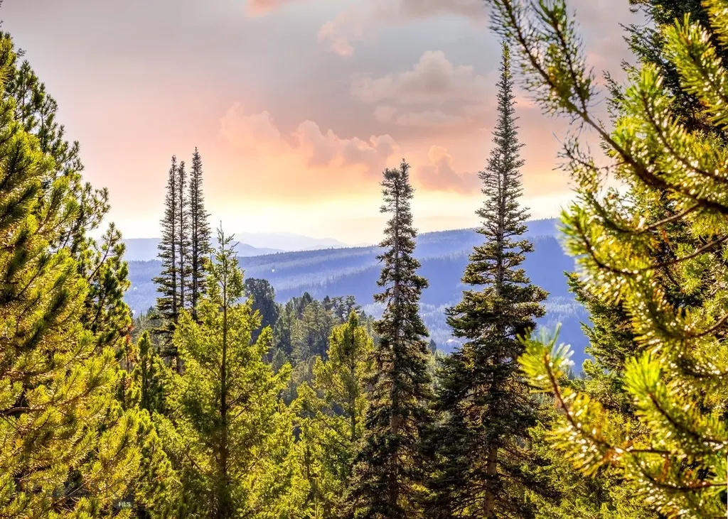 Lot 2 Wheatgrass Meadows Big Sky MT 59716