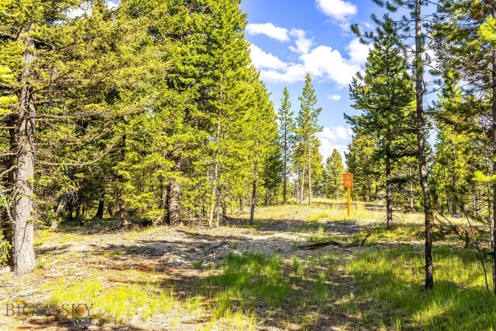 Lot 2 Wheatgrass Meadows Big Sky MT 59716