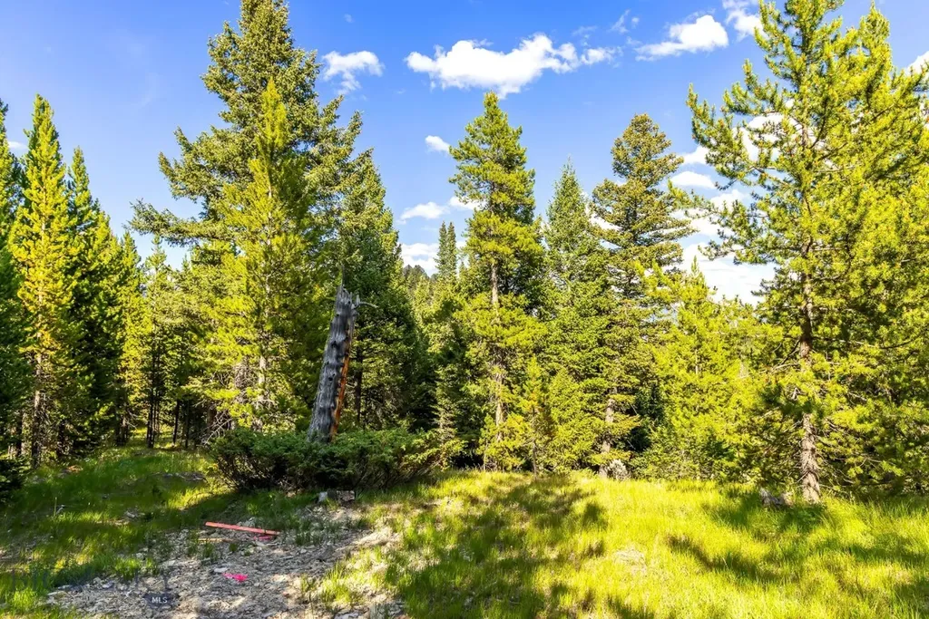 Lot 2 Wheatgrass Meadows Big Sky MT 59716