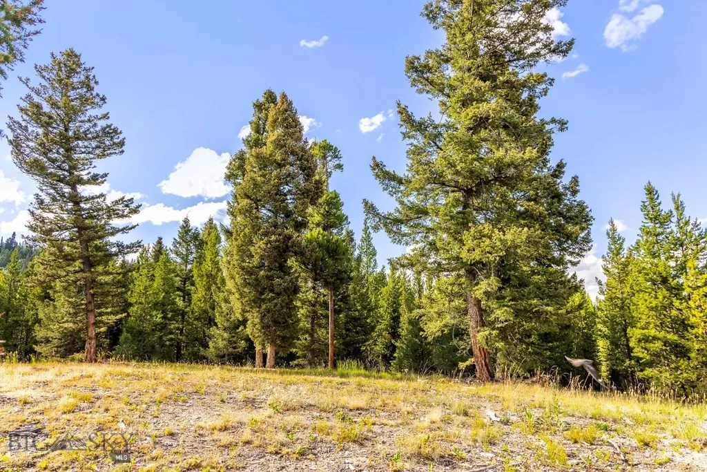 Lot 2 Wheatgrass Meadows Big Sky MT 59716