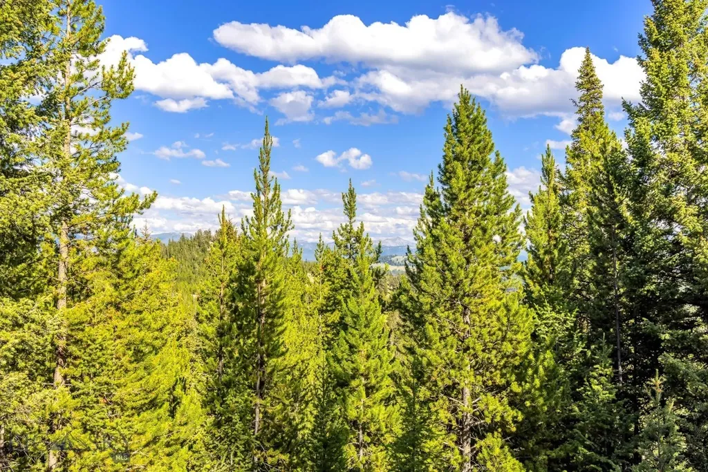 Lot 1 Wheatgrass Meadows Big Sky MT 59716