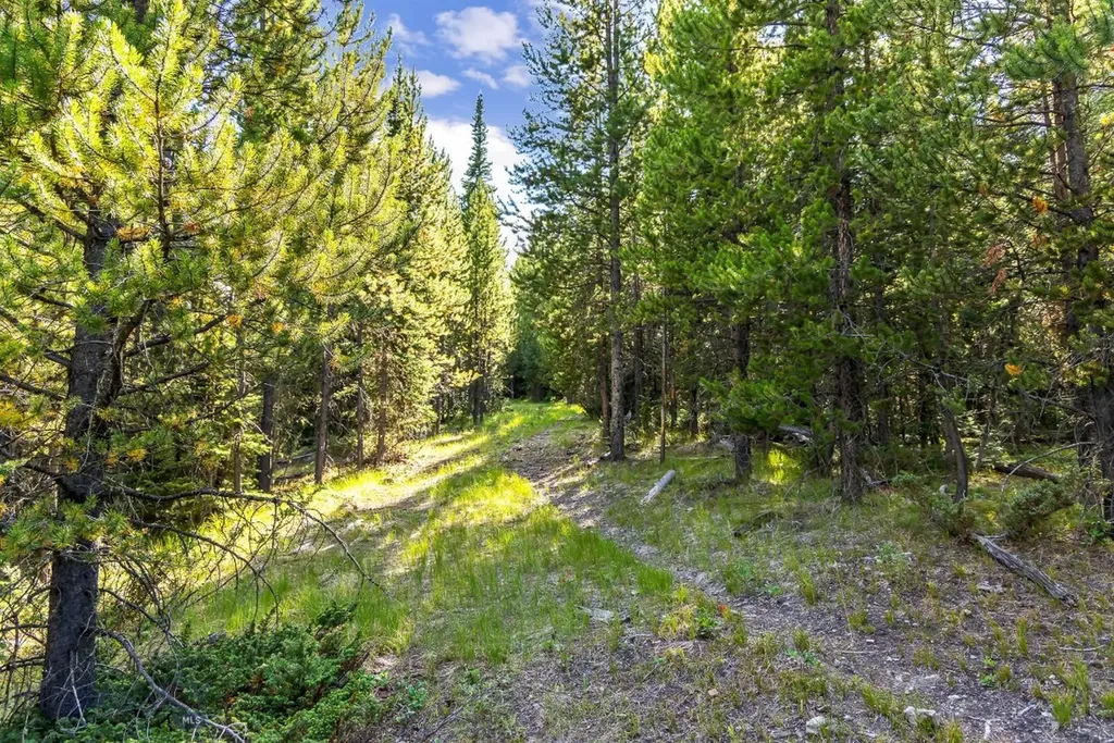 Lot 1 Wheatgrass Meadows Big Sky MT 59716