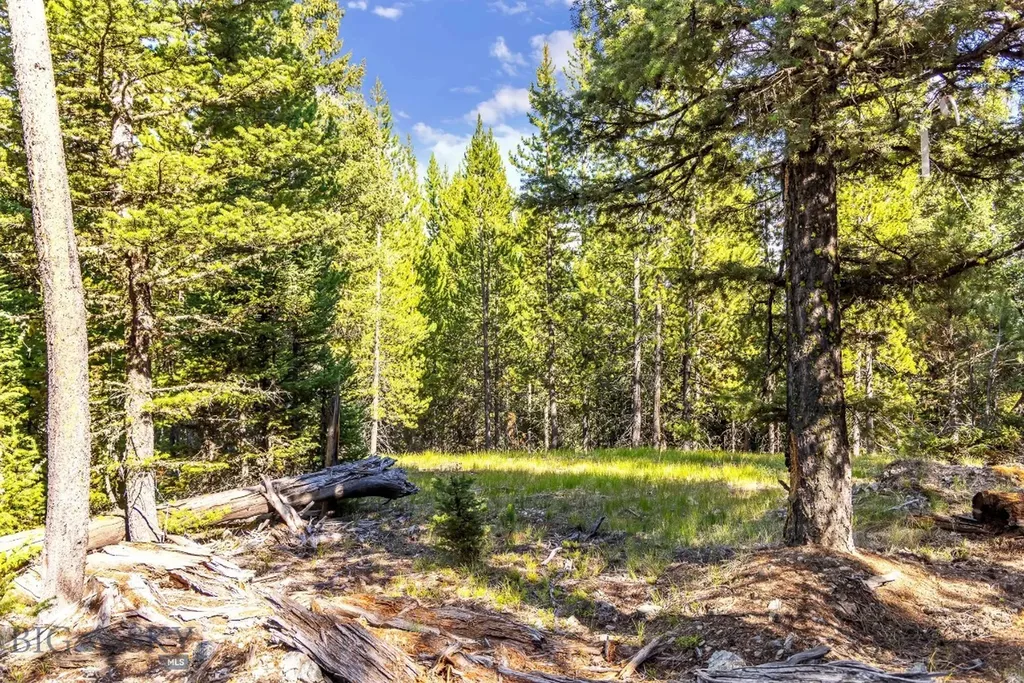 Lot 1 Wheatgrass Meadows Big Sky MT 59716