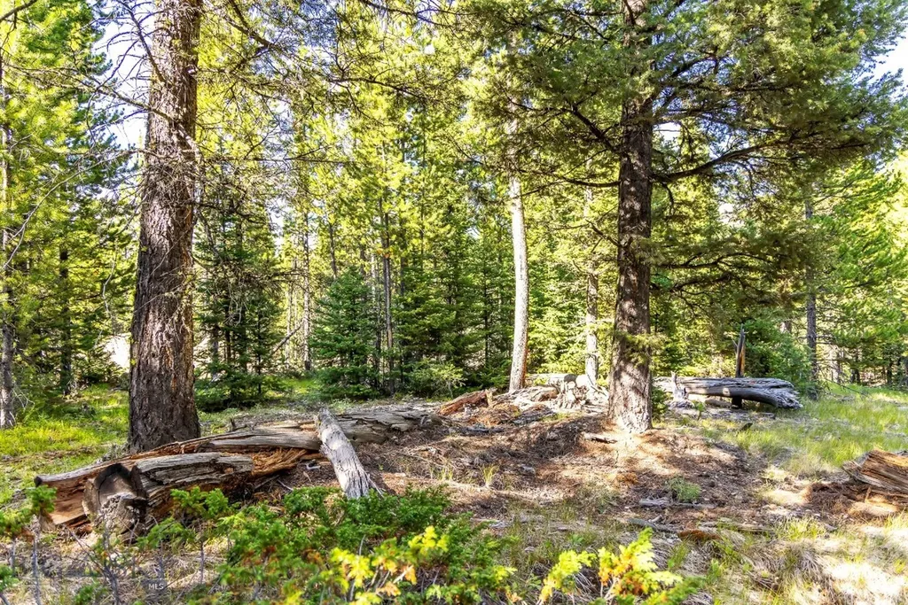 Lot 1 Wheatgrass Meadows Big Sky MT 59716