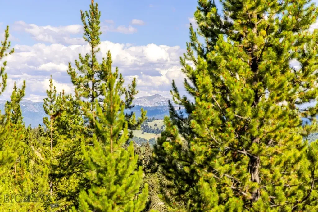 Lot 1 Wheatgrass Meadows Big Sky MT 59716