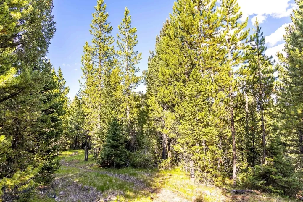 Lot 1 Wheatgrass Meadows Big Sky MT 59716