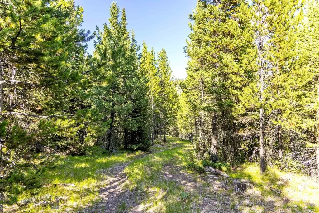 Lot 1 Wheatgrass Meadows Big Sky MT 59716
