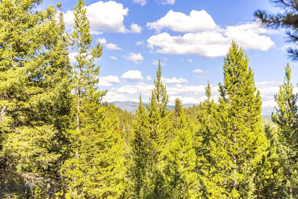 Lot 1 Wheatgrass Meadows Big Sky MT 59716