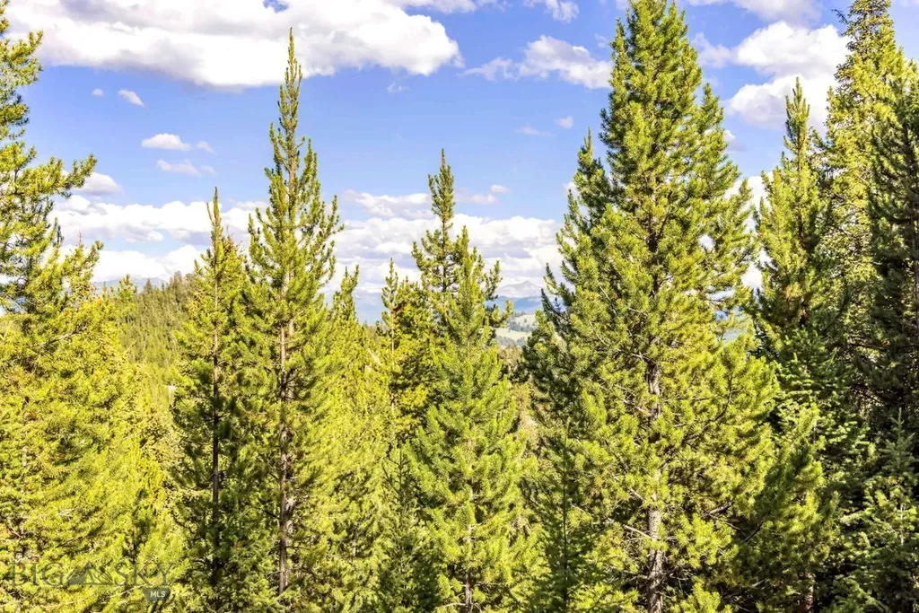 Lot 1 Wheatgrass Meadows Big Sky MT 59716